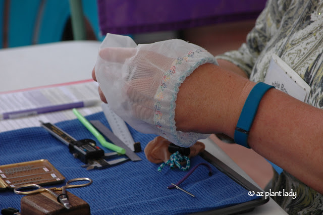 Hummingbird Banding