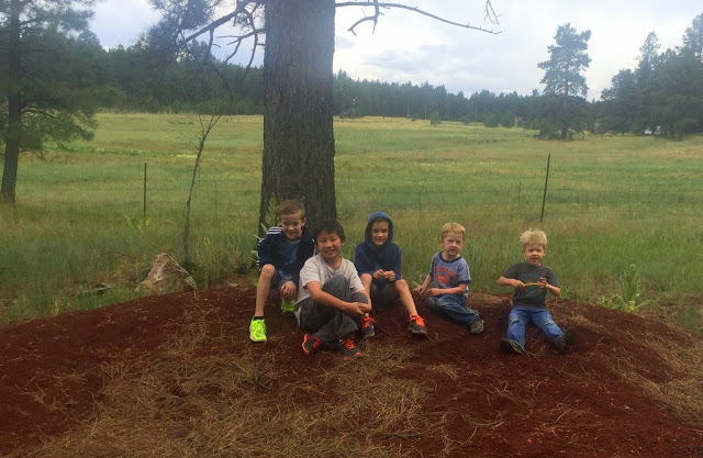 This small mound of dirt is called "Danny's Mountain" by the boys (Danny is my little 4-year old nephew to the right)