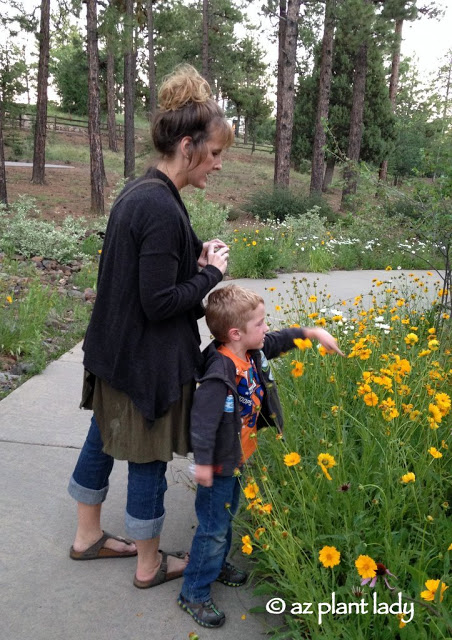 My nephew, Dean, loves flowers and kept asking me what the names of them were. 