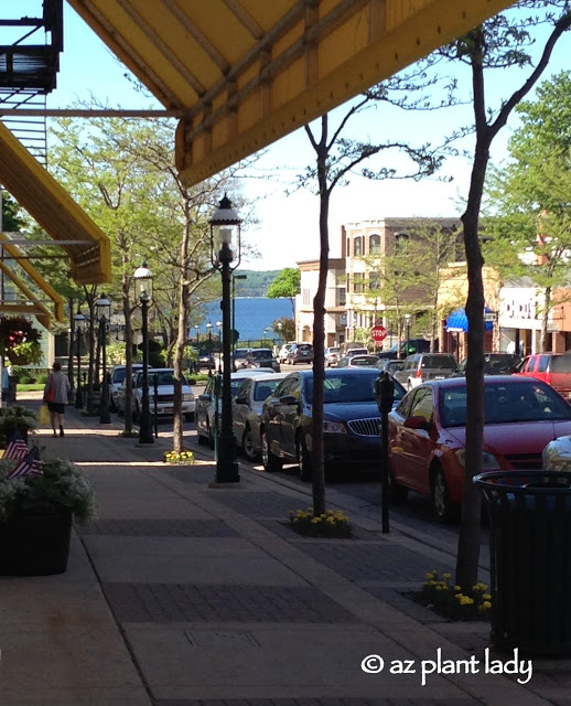 Petoskey, Michigan