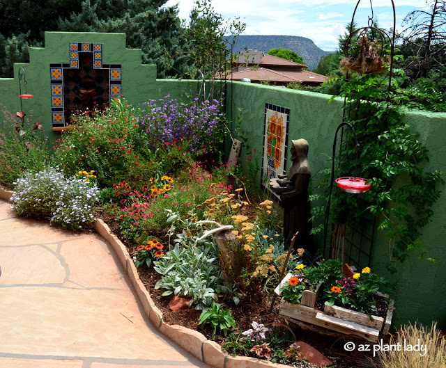 Small Space Garden: Hummingbird Paradise