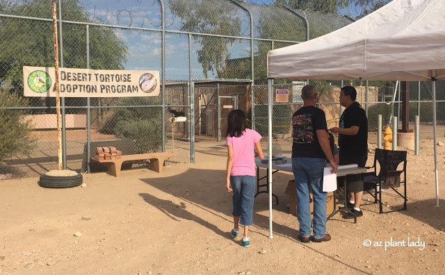 desert tortoise adoption facility