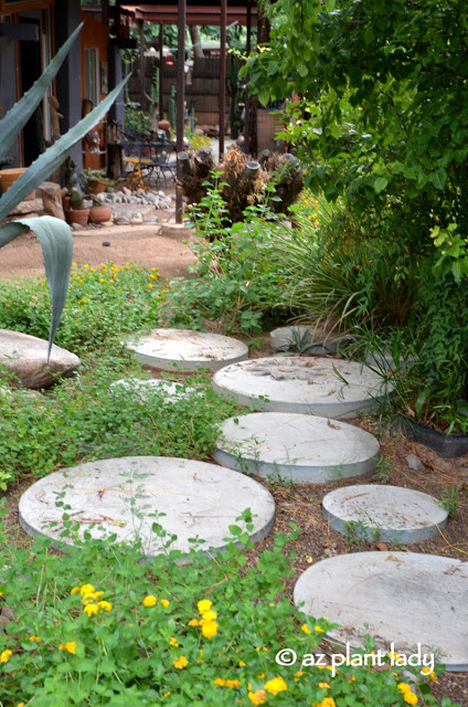 "second spring" pathway in the desert Southwest