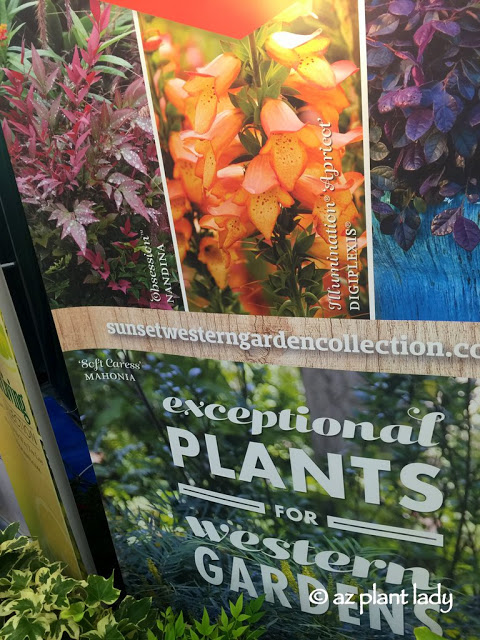 Southwest New Plant Varieties