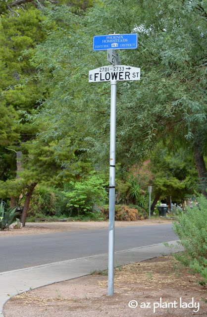 historic garden jewel is located on 'Flower Street.'