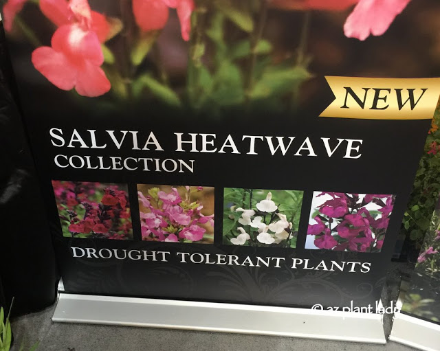 Southwest New Plant Varieties