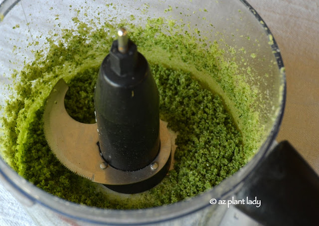 Cilantro herb salt