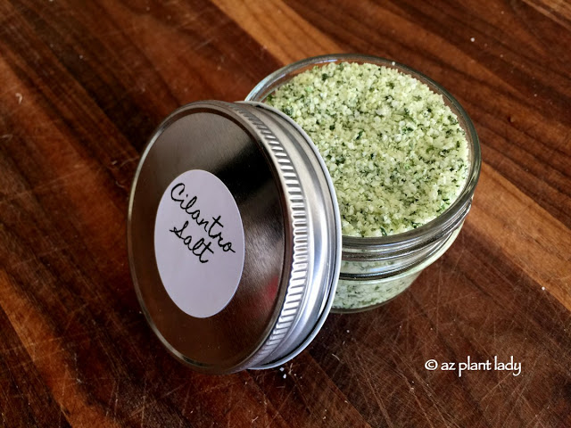 Cilantro herb salt