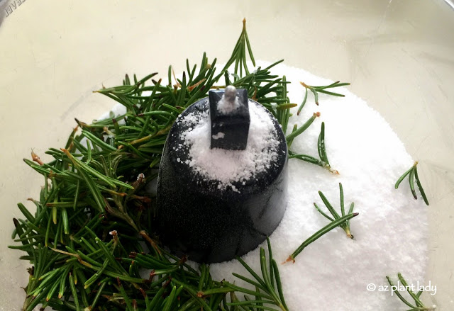 rosemary shrub for making herb salt