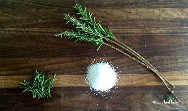 rosemary shrub for making herb salt