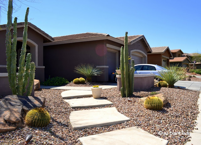 Extremely Drought Tolerant Water Saving Landscape