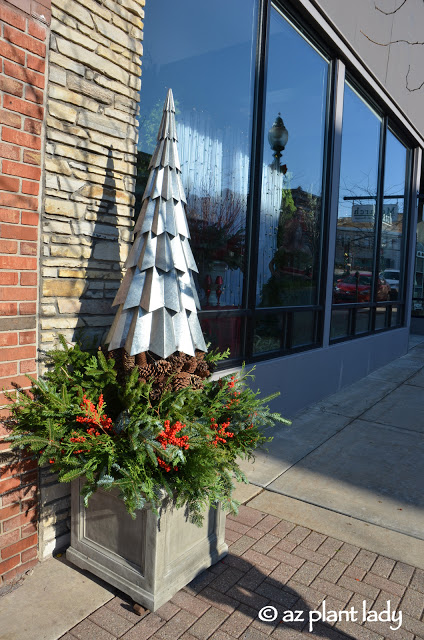 Christmas greenery and decorations.