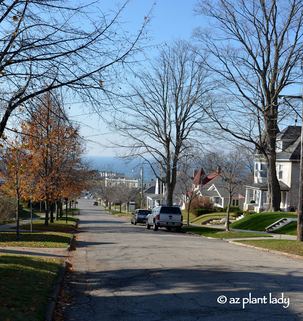 exploring Petoskey