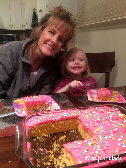 orange cake with hot pink frosting and sprinkles.