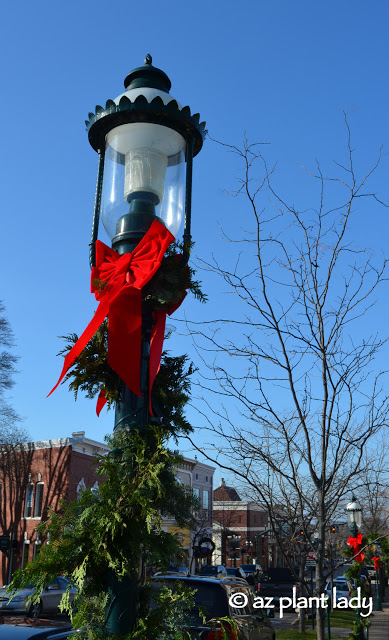 Petoskey, Christmas season