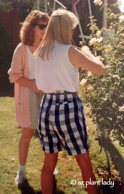Showing my sister the rose bush at our first home in Phoenix.  (I am wearing the sweater.)
