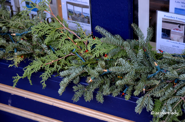 Christmas greenery and decorations.