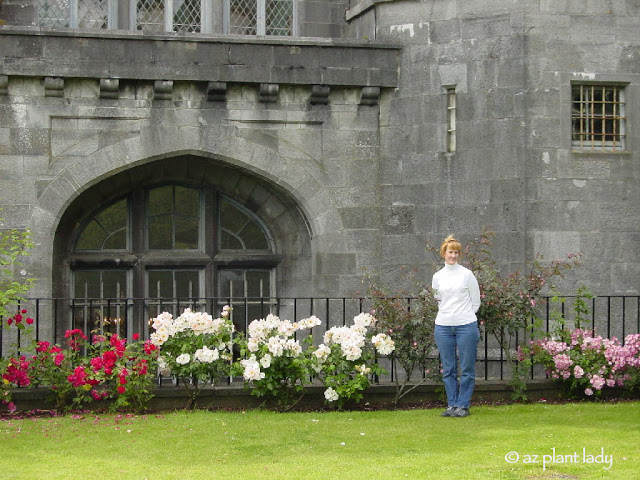 Noelle Johnson posing by the roses and the castle. 