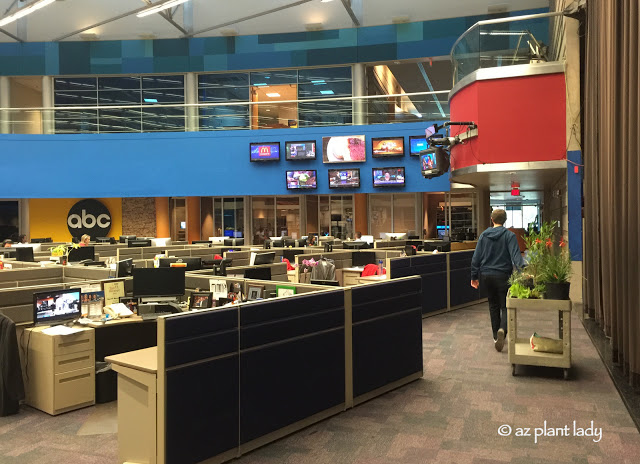 newsroom