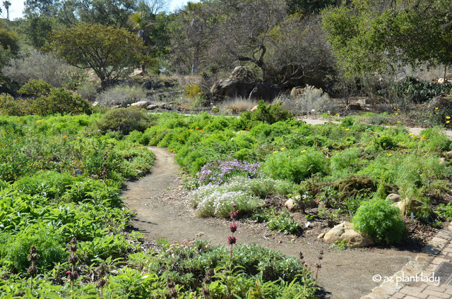 open meadows planted with native wildflowers