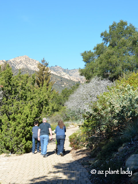 Santa Barbara Botanical Garden