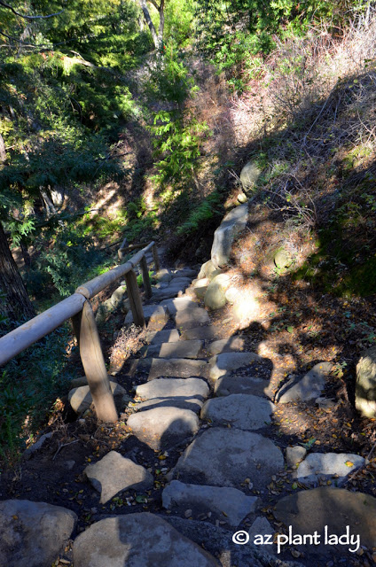 Santa Barbara Botanic Garden