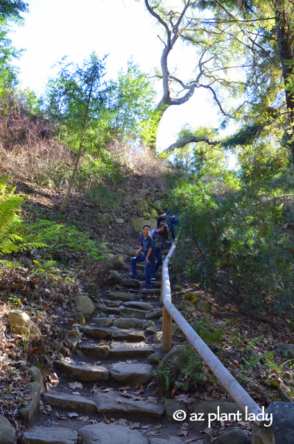 Santa Barbara Botanic Garden