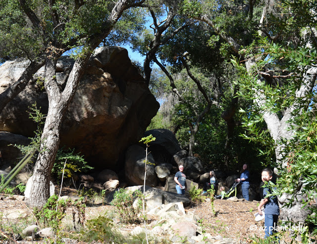 Santa Barbara Botanic Garden