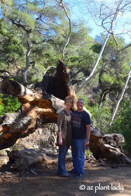 Santa Barbara Botanic Garden