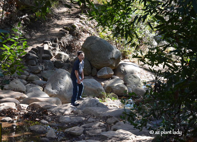 Santa Barbara Botanic Garden