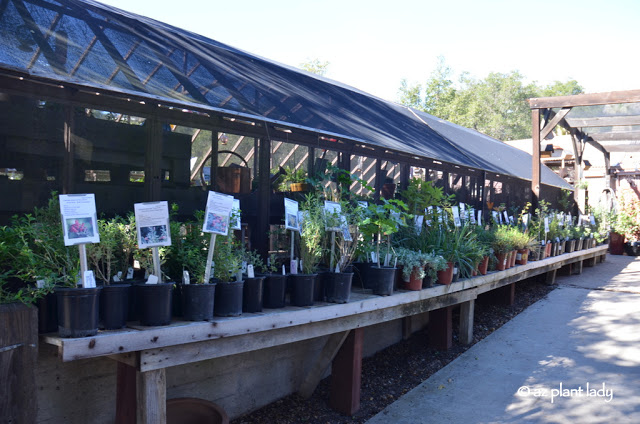 Santa Barbara Botanic Garden