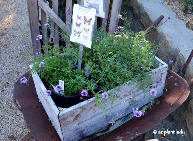 Santa Barbara Botanic Garden