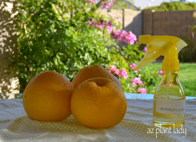 Household Citrus Cleaner