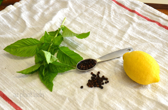 Natural Lemon Freshener