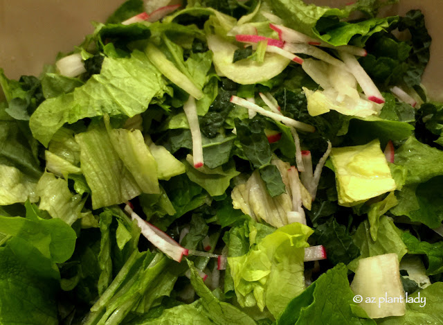 dark green, leafy vegetables