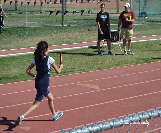 Gracie in Special Olympics event