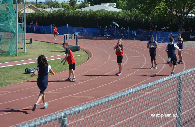 Gracie in Special Olympics event