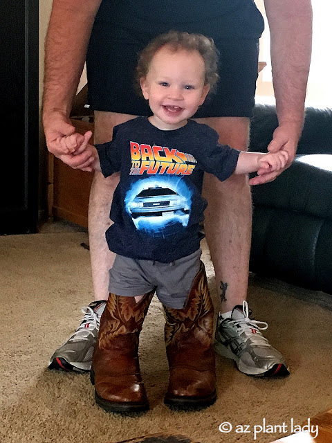 Cowboy Boots