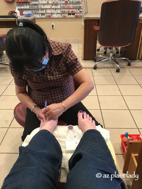 getting a pedicure