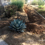 drip_irrigation_installation