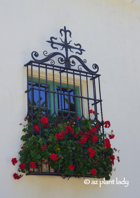 Bright red geraniums hang from the window, peeking through the rejas (decorative iron work covering the window). 