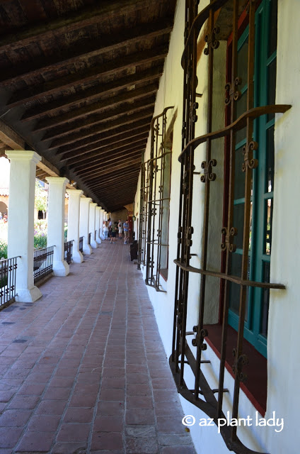 interior courtyard