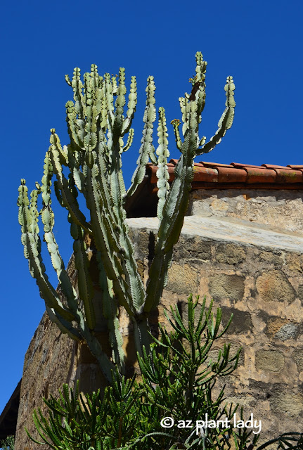 Santa Barbara Mission