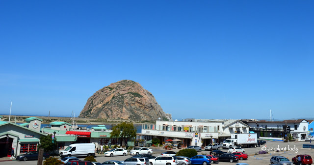 Morro Bay "Gibraltar of the Pacific"