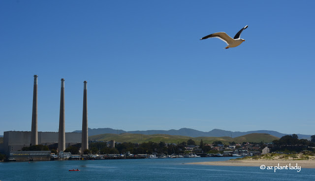 Morro Bay "Gibraltar of the Pacific"