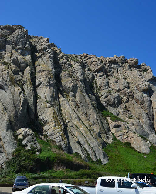 Morro Bay "Gibraltar of the Pacific"