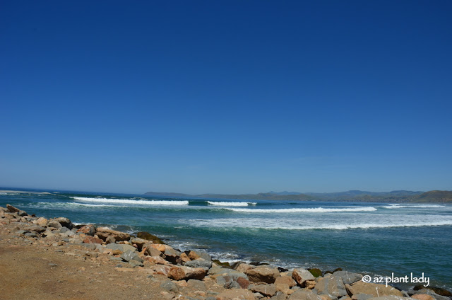 Morro Bay "Gibraltar of the Pacific"