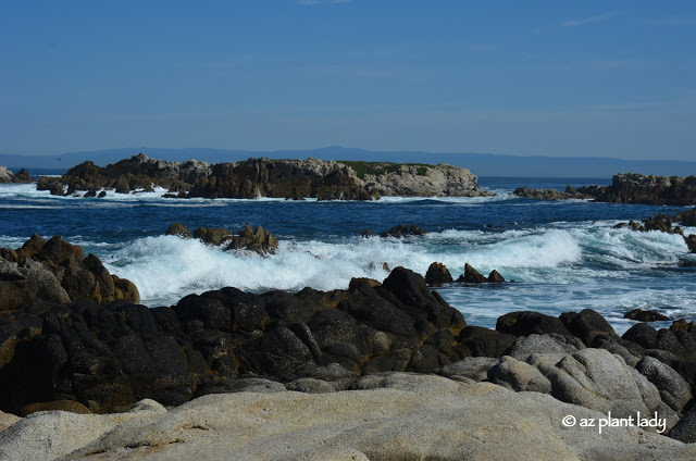  Pacific Grove