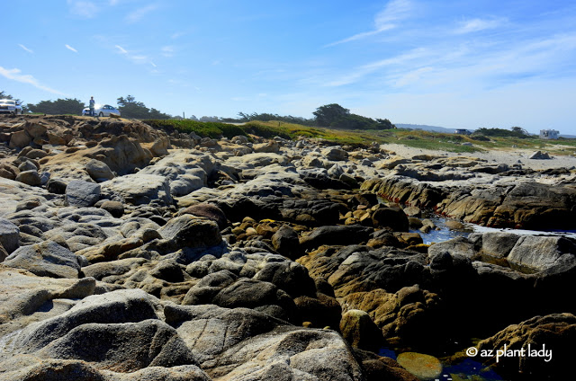  Pacific Grove