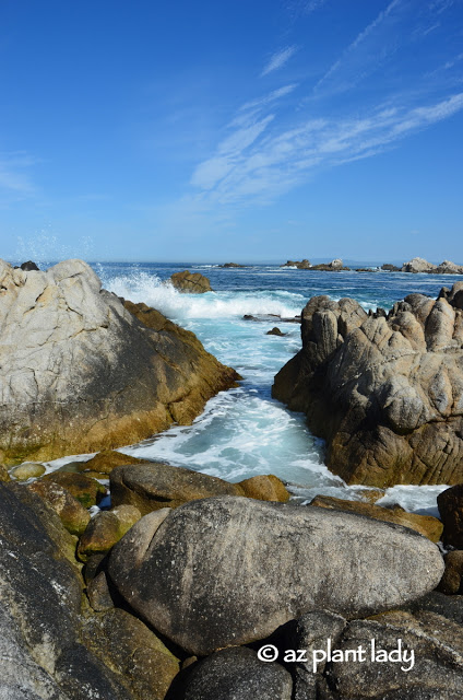  Pacific Grove